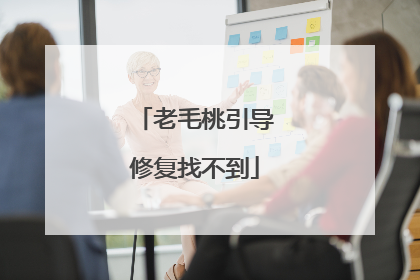 老毛桃引导修复找不到