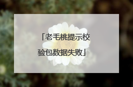 老毛桃提示校验包数据失败