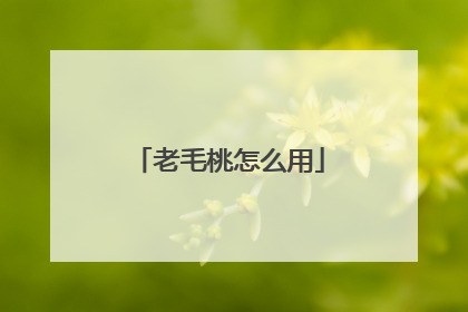 老毛桃怎么用