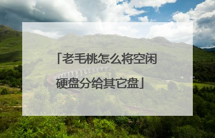 老毛桃怎么将空闲硬盘分给其它盘