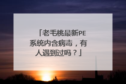 老毛桃最新PE系统内含病毒,有人遇到过吗?