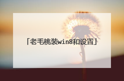 老毛桃装win8和设置