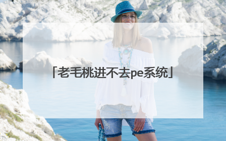 老毛桃进不去pe系统