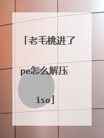 老毛桃进了pe怎么解压iso