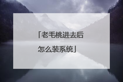 老毛桃进去后怎么装系统