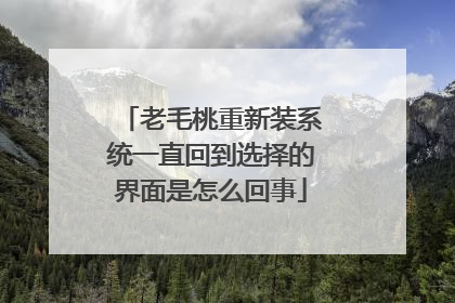 老毛桃重新装系统一直回到选择的界面是怎么回事