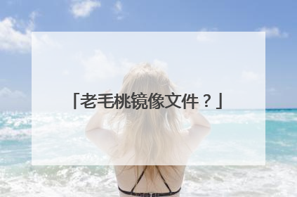 老毛桃镜像文件？