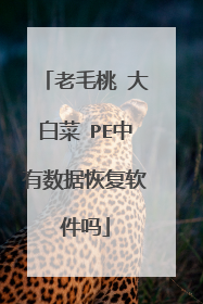 老毛桃 大白菜 PE中有数据恢复软件吗