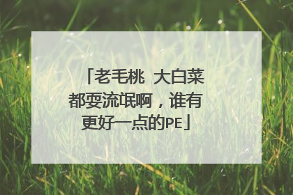 老毛桃 大白菜都耍流氓啊,谁有更好一点的PE