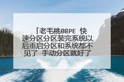老毛桃08PE 快速分区分区装完系统以后重启分区和系统都不见了 手动分区就好了 为什么啊