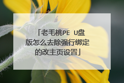 老毛桃PE U盘版怎么去除强行绑定的改主页设置