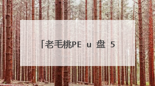 老毛桃PE u 盘 512M 如何用 谢谢