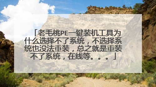 老毛桃PE一键装机工具为什么选择不了系统,不选择系统也没法重装,总之就是重装不了系统,在线等。。。