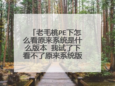 老毛桃PE下怎么看原来系统是什么版本 我试了下看不了原来系统版本 注册表里显示的PE的系统?