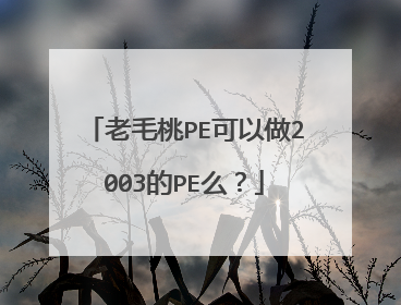 老毛桃PE可以做2003的PE么？