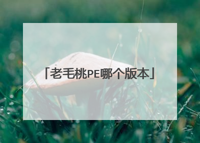 老毛桃PE哪个版本