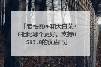 老毛桃PE和大白菜PE相比哪个更好。支持USB3.0的优盘吗