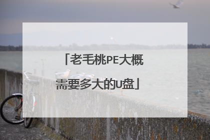 老毛桃PE大概需要多大的U盘