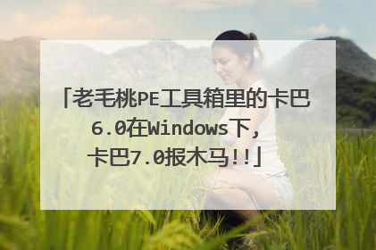 老毛桃PE工具箱里的卡巴6.0在Windows下,卡巴7.0报木马!!