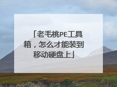 老毛桃PE工具箱,怎么才能装到移动硬盘上
