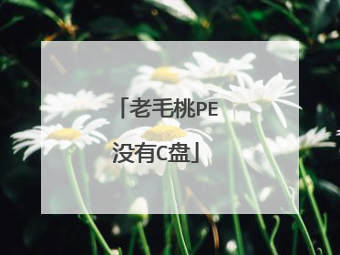 老毛桃PE没有C盘