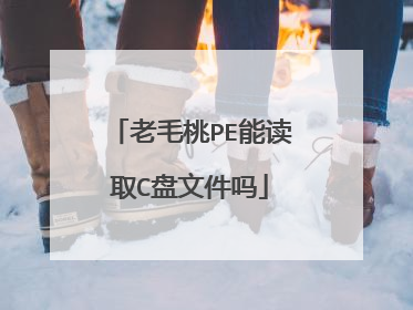 老毛桃PE能读取C盘文件吗