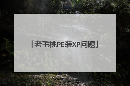 老毛桃PE装XP问题