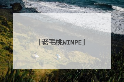 老毛桃WINPE