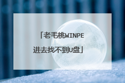 老毛桃WINPE进去找不到U盘