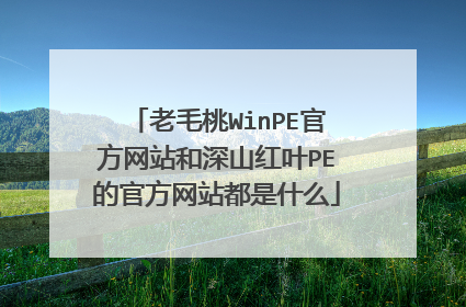 老毛桃WinPE官方网站和深山红叶PE的官方网站都是什么