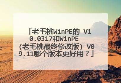 老毛桃WinPE的 V10.0317和WinPE (老毛桃最终修改版) V09.11哪个版本更好用?