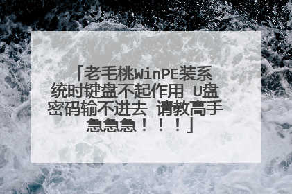 老毛桃WinPE装系统时键盘不起作用 U盘密码输不进去 请教高手 急急急！！！