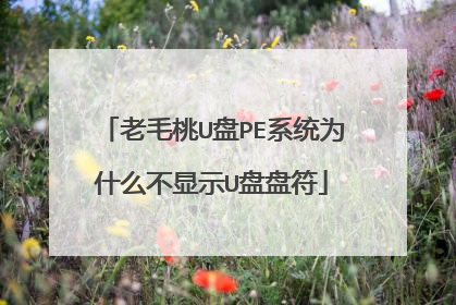 老毛桃U盘PE系统为什么不显示U盘盘符
