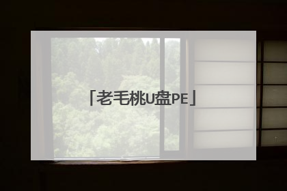 老毛桃U盘PE