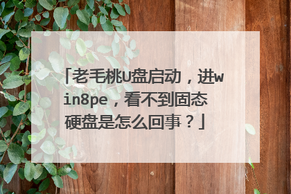 老毛桃U盘启动,进win8pe,看不到固态硬盘是怎么回事?