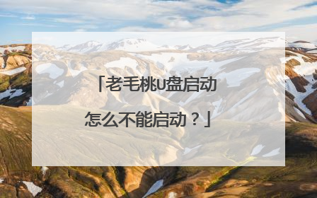老毛桃U盘启动怎么不能启动？