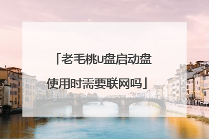老毛桃U盘启动盘使用时需要联网吗