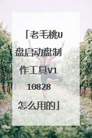 老毛桃U盘启动盘制作工具V110828怎么用的