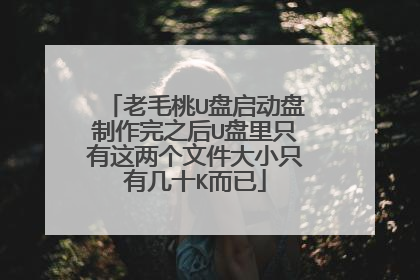 老毛桃U盘启动盘制作完之后U盘里只有这两个文件大小只有几十K而已