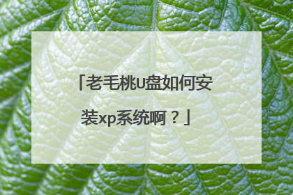 老毛桃U盘如何安装xp系统啊?
