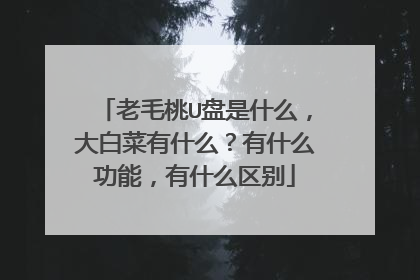 老毛桃U盘是什么,大白菜有什么?有什么功能,有什么区别