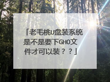 老毛桃U盘装系统是不是要下GHO文件才可以装??