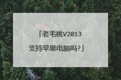 老毛桃V2013支持苹果电脑吗?