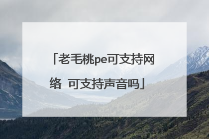 老毛桃pe可支持网络 可支持声音吗