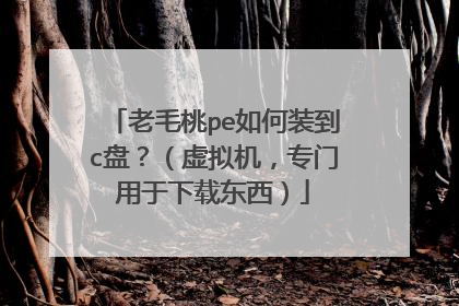老毛桃pe如何装到c盘?(虚拟机,专门用于下载东西)