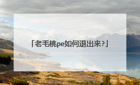 老毛桃pe如何退出来?
