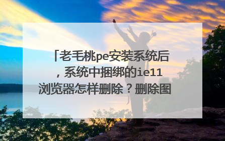 老毛桃pe安装系统后,系统中捆绑的ie11浏览器怎样删除?删除图标后又自动恢复,流氓啊!网址也捆绑求助!