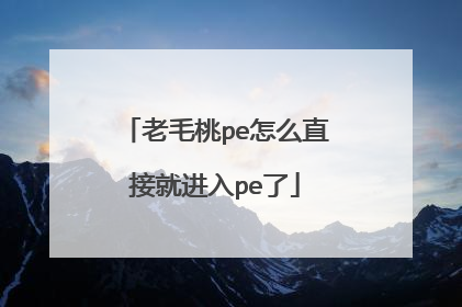 老毛桃pe怎么直接就进入pe了