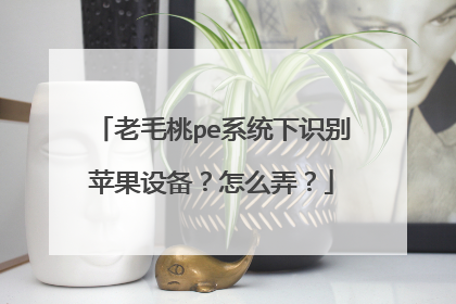 老毛桃pe系统下识别苹果设备？怎么弄？