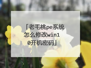 老毛桃pe系统怎么修改win10开机密码